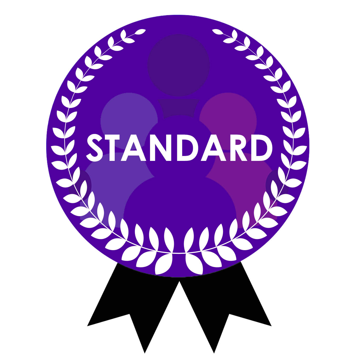 Standard Plan Icon